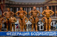 Кубок России по бодибилдингу - 2011