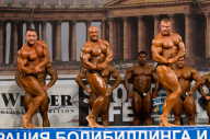 Кубок России по бодибилдингу - 2011