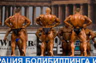 Кубок России по бодибилдингу - 2011