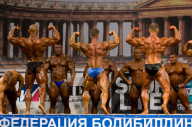Кубок России по бодибилдингу - 2011