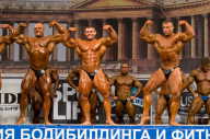 Кубок России по бодибилдингу - 2011