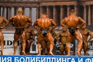 Кубок России по бодибилдингу - 2011