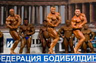 Кубок России по бодибилдингу - 2011