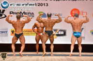 Чемпионат Москвы по бодибилдингу - 2013