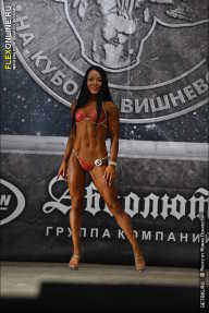 Кубок Александра Вишневского - 2013