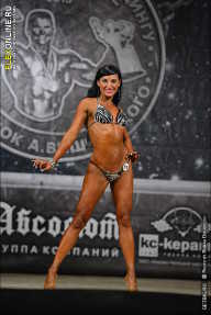 Кубок Александра Вишневского - 2013