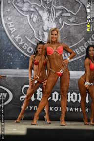 Кубок Александра Вишневского - 2013