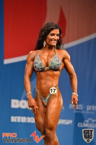 Nordic Pro - 2013