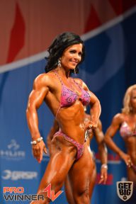 Nordic Pro - 2013
