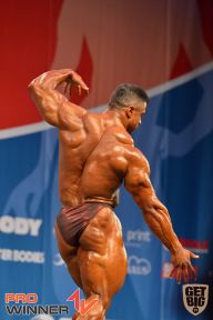 Nordic Pro - 2013