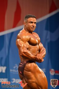 Nordic Pro - 2013