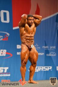 Nordic Pro - 2013