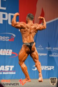 Nordic Pro - 2013