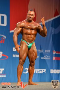 Nordic Pro - 2013