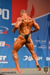 Nordic Pro - 2013