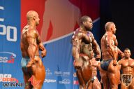 Nordic Pro - 2013