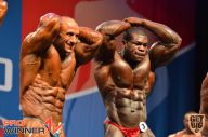 Nordic Pro - 2013