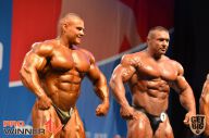 Nordic Pro - 2013