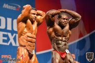 Nordic Pro - 2013