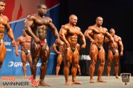 Nordic Pro - 2013