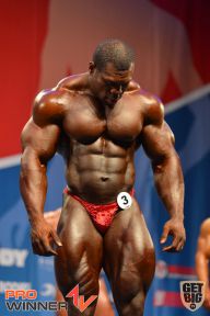 Nordic Pro - 2013