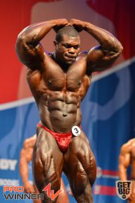 Nordic Pro - 2013
