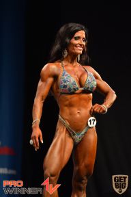 Nordic Pro - 2013