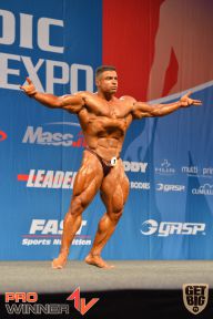 Nordic Pro - 2013