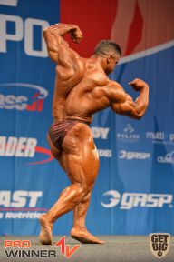 Nordic Pro - 2013