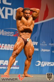 Nordic Pro - 2013