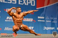 Nordic Pro - 2013