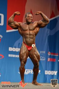 Nordic Pro - 2013