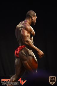 Nordic Pro - 2013
