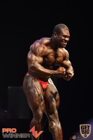 Nordic Pro - 2013