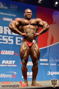 Nordic Pro - 2013
