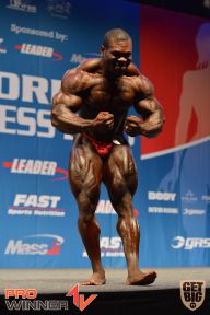 Nordic Pro - 2013