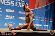 Nordic Pro - 2013