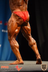 Nordic Pro - 2013
