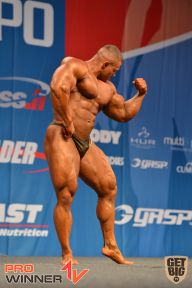 Nordic Pro - 2013