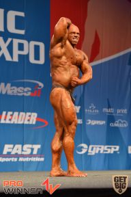 Nordic Pro - 2013