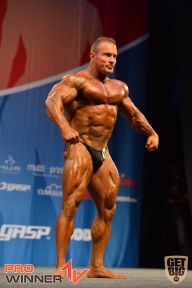 Nordic Pro - 2013