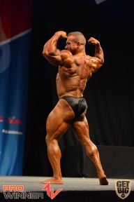 Nordic Pro - 2013