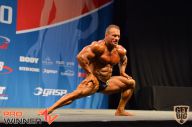 Nordic Pro - 2013