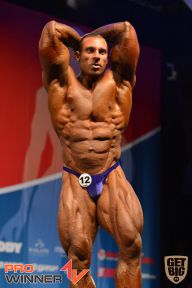 Nordic Pro - 2013