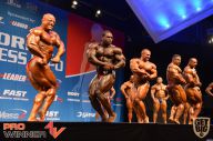 Nordic Pro - 2013