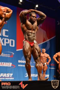 Nordic Pro - 2013