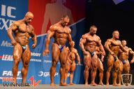 Nordic Pro - 2013