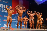 Nordic Pro - 2013