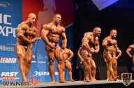 Nordic Pro - 2013