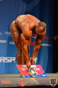 Nordic Pro - 2013